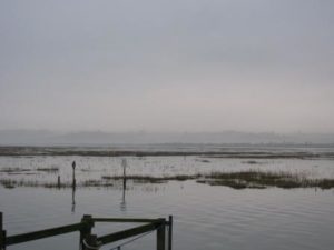 img_0761-red-misty-marshes